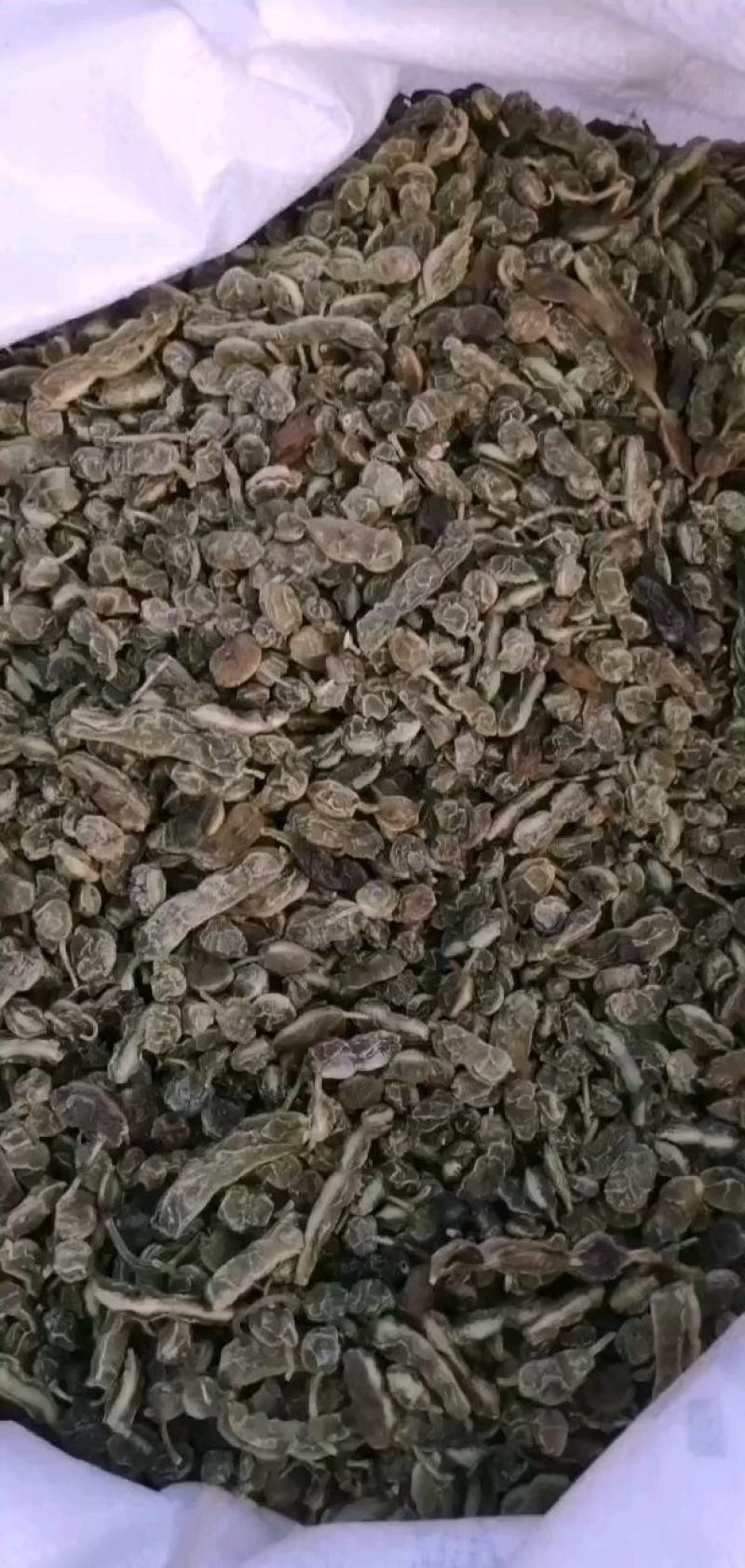国槐角。槐角