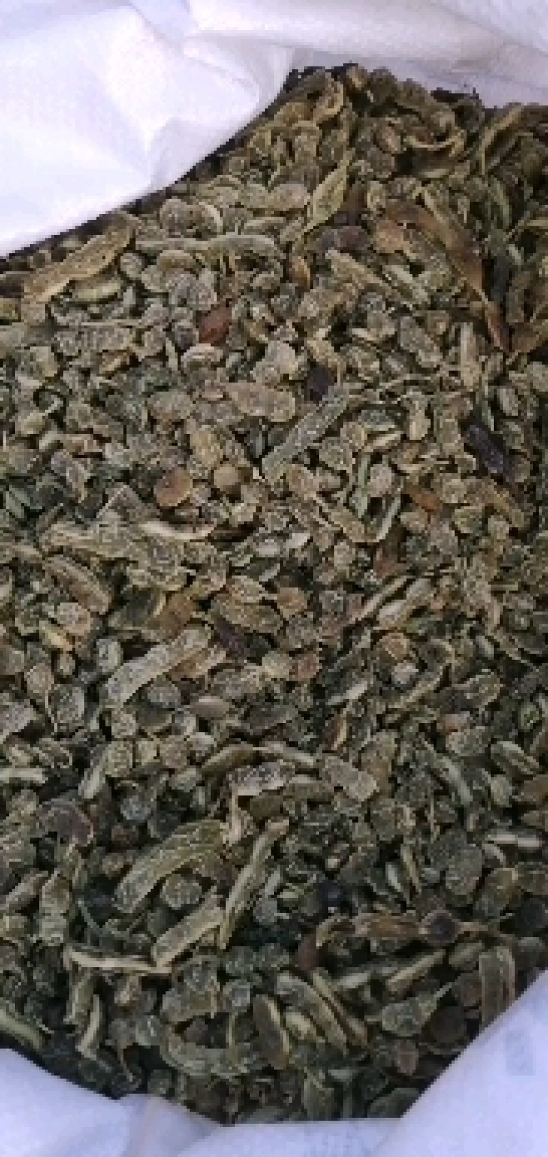 国槐角。槐角