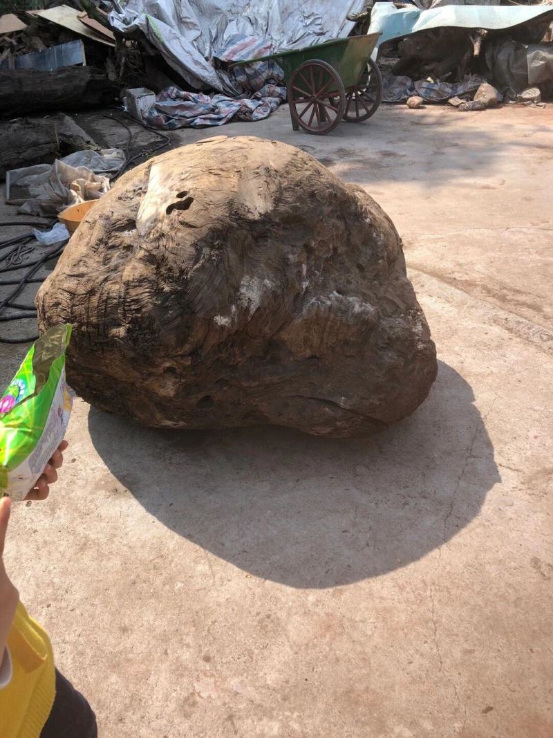 金丝楠阴沉木小叶桢楠乌木