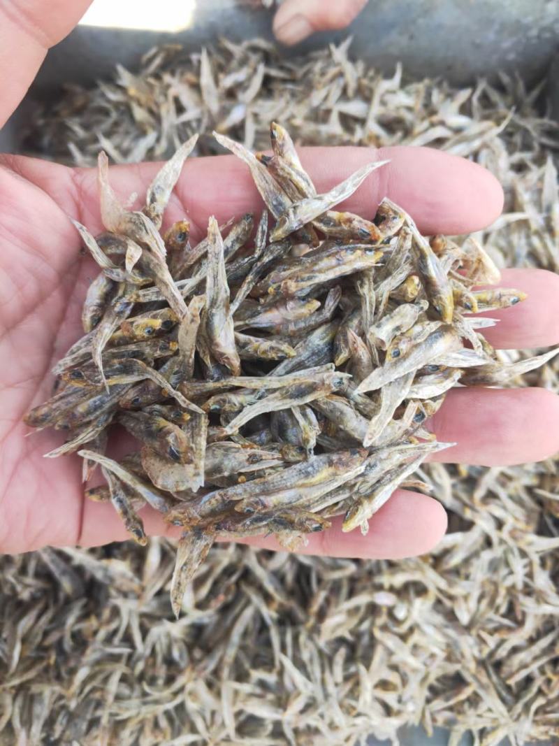 小黄鱼干，石头鱼干，干靠鱼干，庐山石鱼干