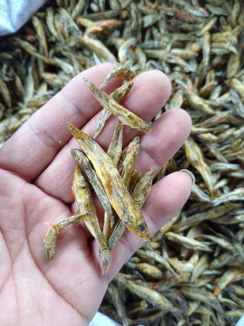 小黄鱼干，石头鱼干，干靠鱼干，庐山石鱼干