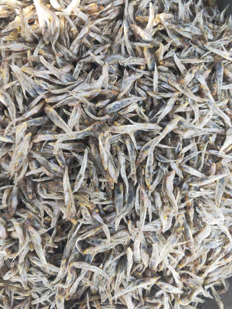 小黄鱼干，石头鱼干，干靠鱼干，庐山石鱼干