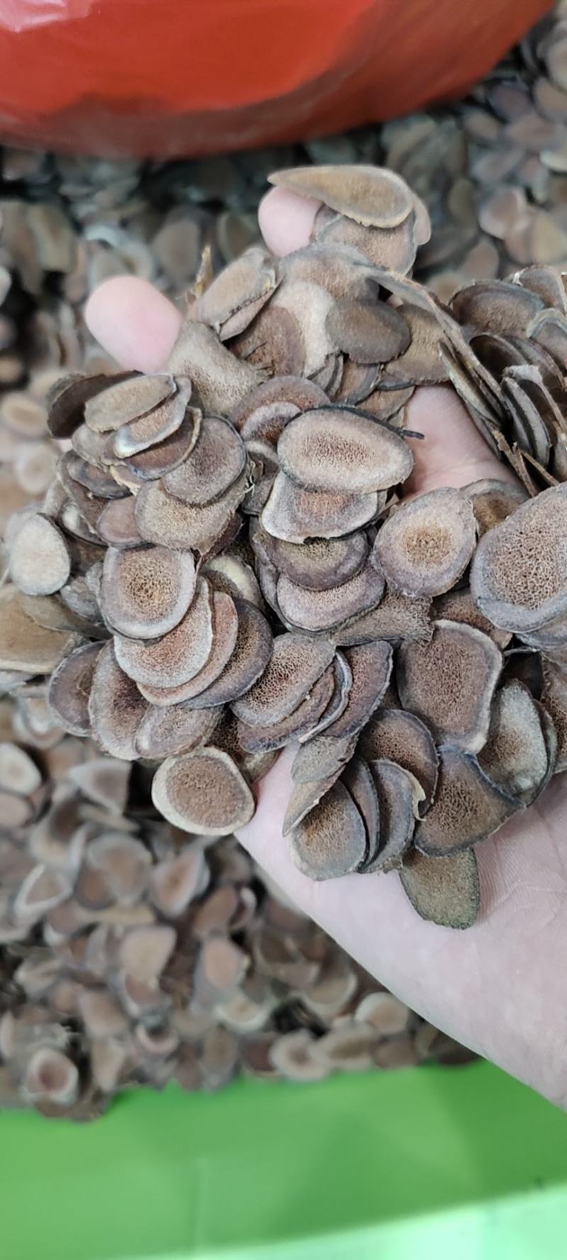 鹿角片红粉片梅花片正品男用东北正宗干血片中药材泡酒