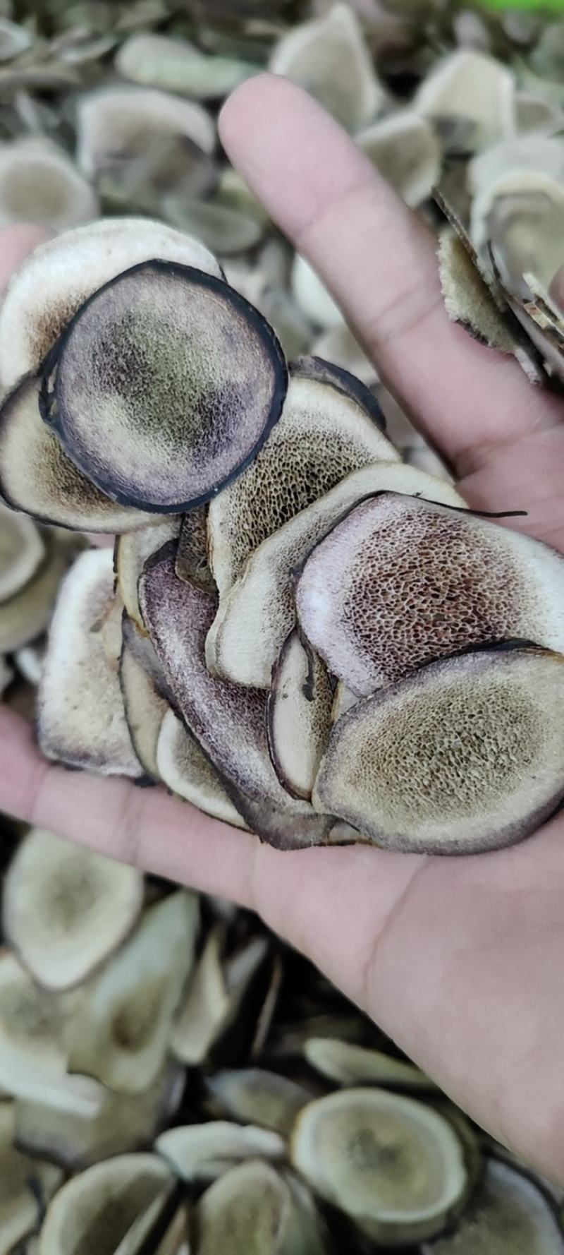 鹿角片红粉片梅花片正品男用东北正宗干血片中药材泡酒