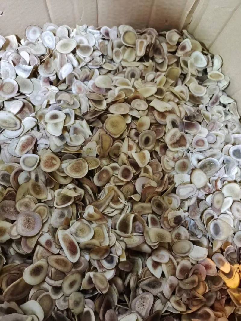 吉林双阳鹿角片，泡酒打粉，医院饮用都可以，经济实惠