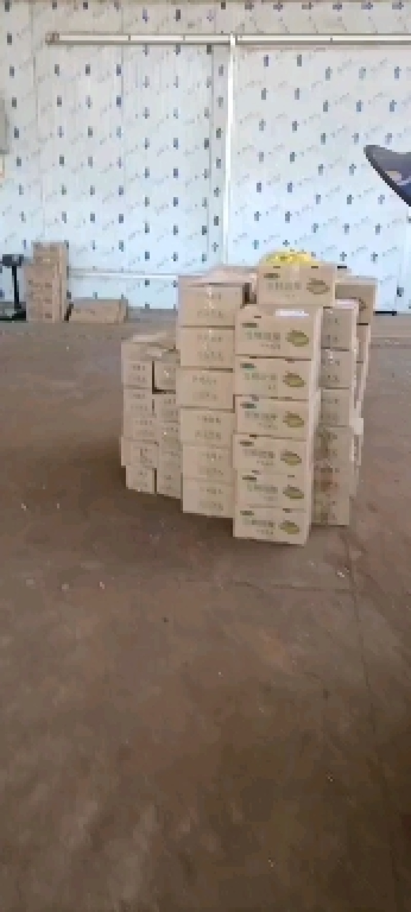 无农药现摘甜玉米笋迷你小玉米笋蔬菜食材包邮。