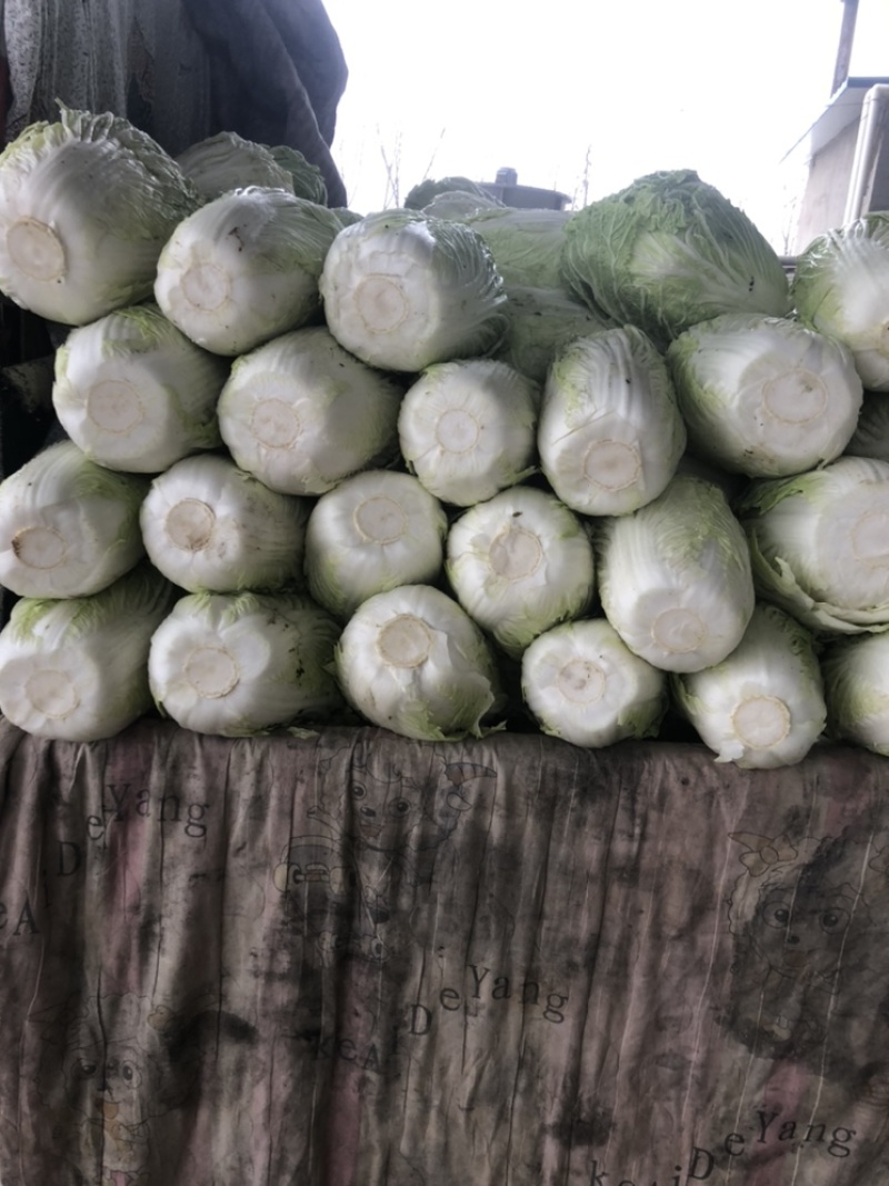 库存白菜，需要的可以联系价格不高