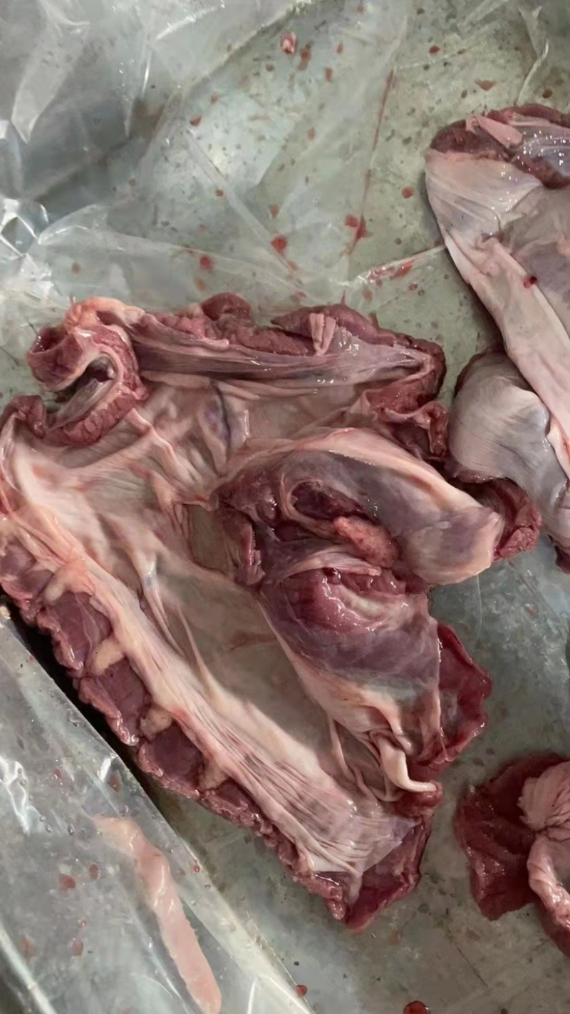 肥猪护心肉