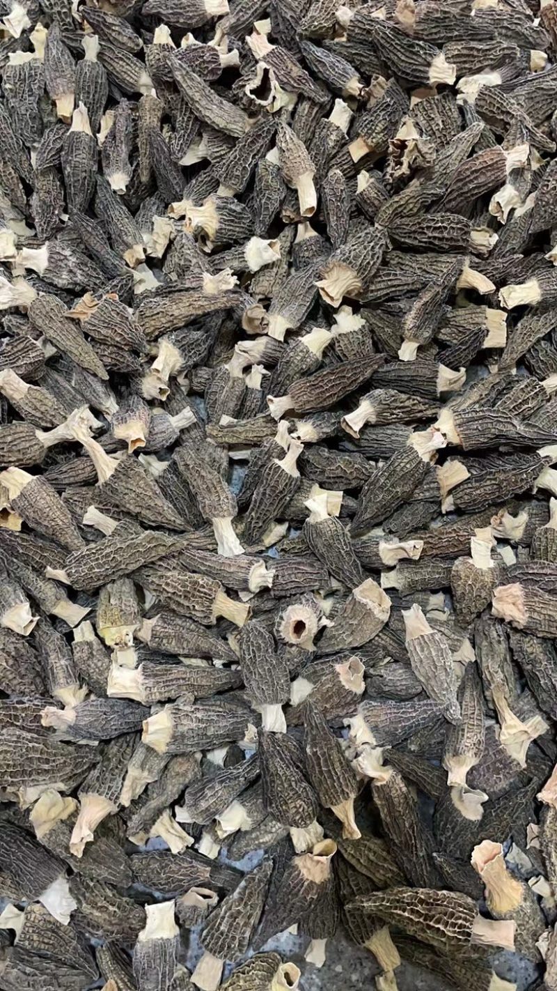 羊肚菌干货云南文山产地直发，250g500g自产自销