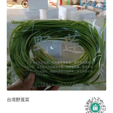 台湾野莲