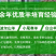 小尾寒羊，纯种小尾寒羊羊苗价格，小尾寒羊种羊，厂家直销