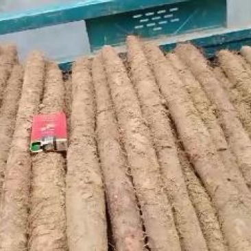 优质白玉山药，保证质量，优质的服务，一次合作终生朋友，