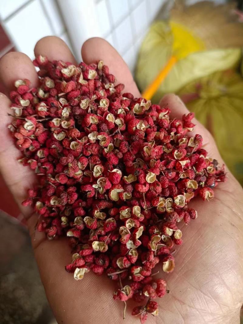 【包邮】新货陕西特级梅花椒花椒肉厚麻香全国发货