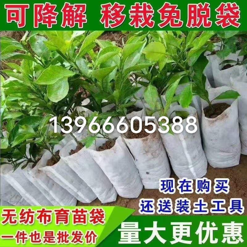 无纺布育苗袋11Ⅹ1210万个