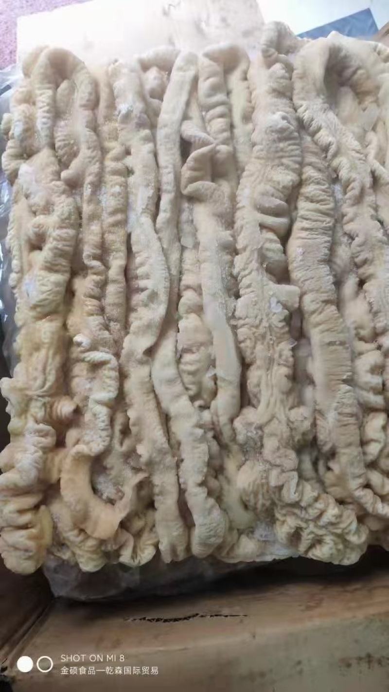 预煮大肠/猪大肠/预煮少油