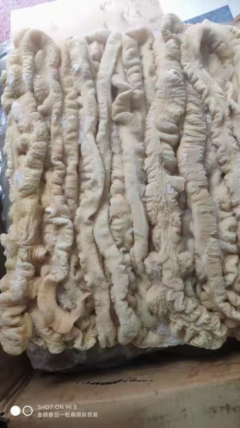 预煮大肠/猪大肠/预煮少油