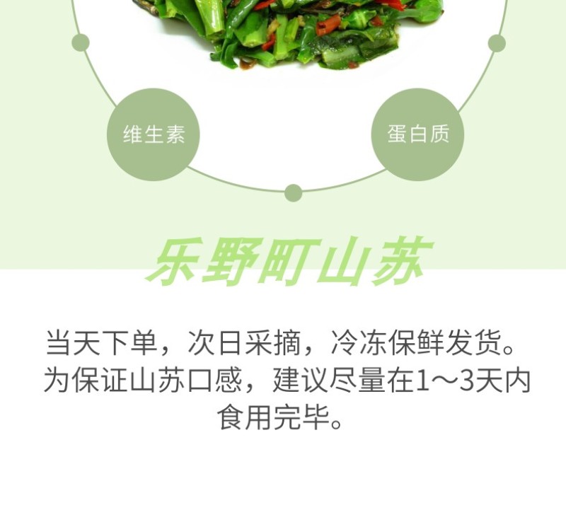 山苏菜台湾山苏野菜基地现摘速寄酒店特色菜