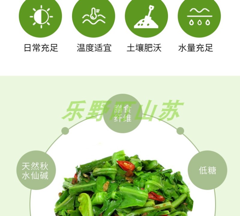 山苏菜台湾山苏野菜基地现摘速寄酒店特色菜