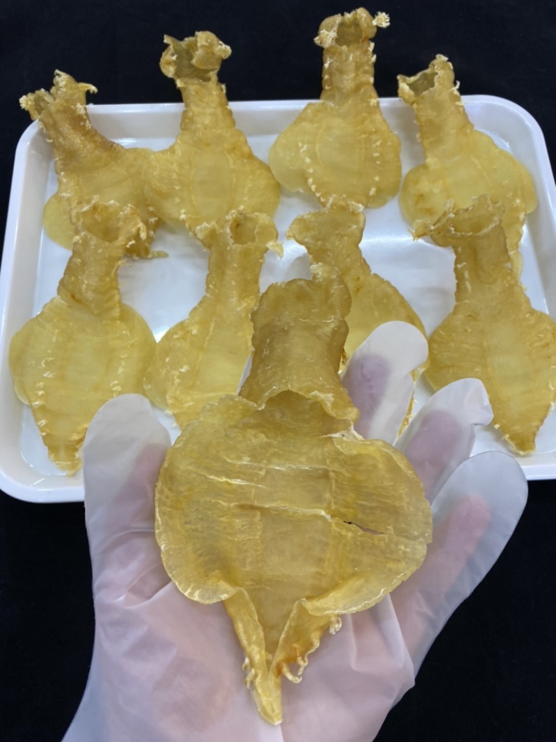 花胶刺花赤嘴母胶鱼女性鱼胶煲汤炖煮一件代发