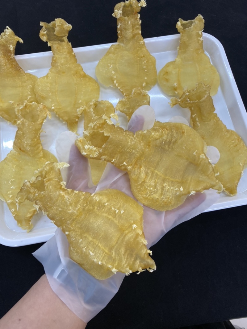 花胶刺花赤嘴母胶鱼女性鱼胶煲汤炖煮一件代发