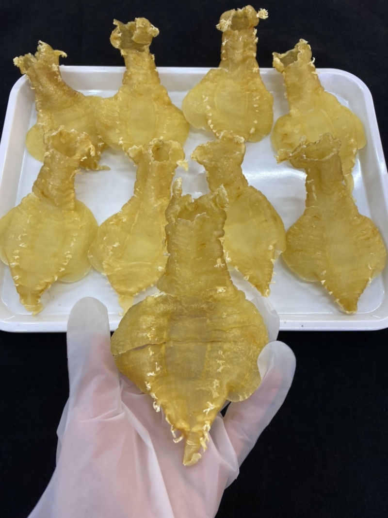 花胶刺花赤嘴母胶鱼女性鱼胶煲汤炖煮一件代发