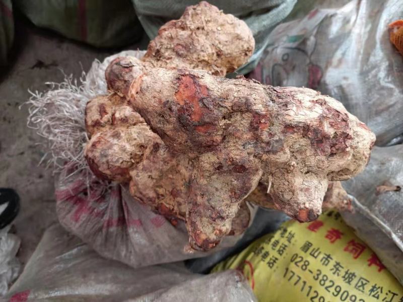 土茯苓量大从优纯野生高含量优质清白无霉烂