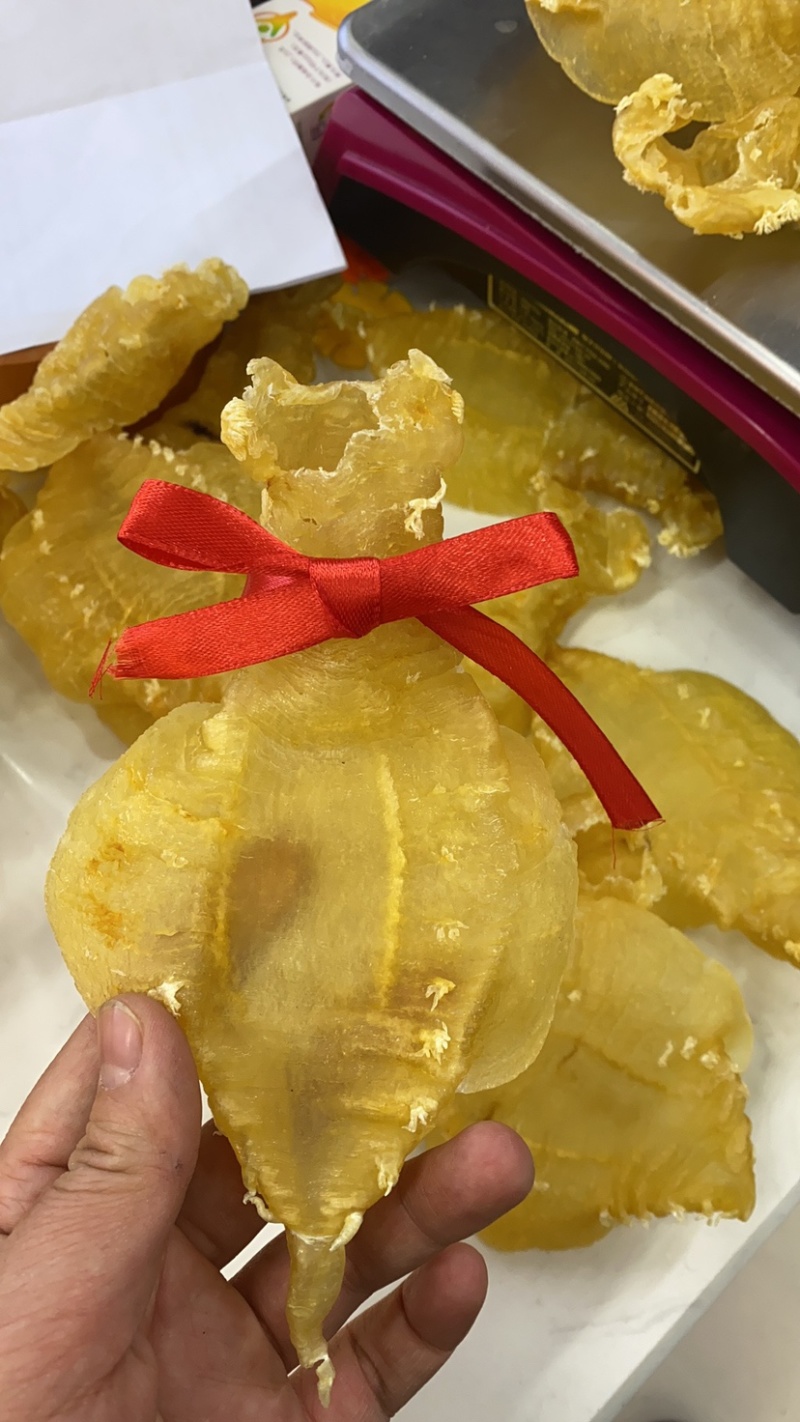 花胶刺花赤嘴母胶鱼女性鱼胶煲汤炖煮一件代发