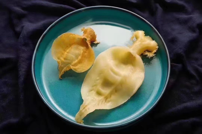 花胶刺花赤嘴母胶鱼女性鱼胶煲汤炖煮一件代发