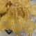 花胶刺花赤嘴母胶鱼女性鱼胶煲汤炖煮一件代发
