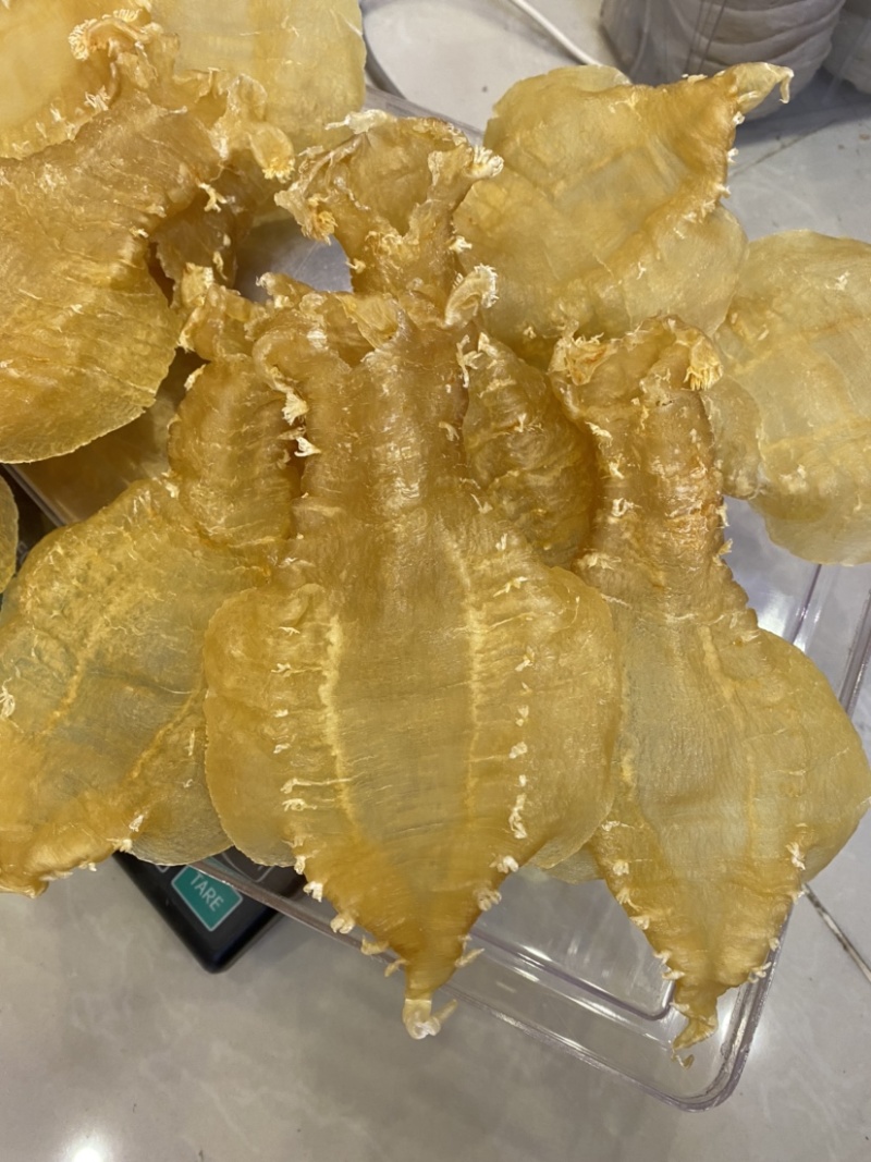 花胶刺花赤嘴母胶鱼女性鱼胶煲汤炖煮一件代发