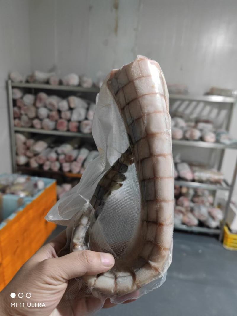 鳄鱼肉干新鲜鳄鱼肉批发零售品质保证基地直发