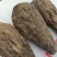 新疆肉苁蓉大芸寸芸管花硬质药材沙漠软黄金包邮