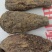 新疆肉苁蓉大芸寸芸管花硬质药材沙漠软黄金包邮