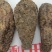 新疆肉苁蓉大芸寸芸管花硬质药材沙漠软黄金包邮