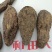 新疆肉苁蓉大芸寸芸管花硬质药材沙漠软黄金包邮