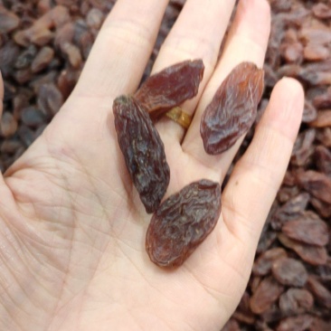 新疆特产葡萄干红香妃