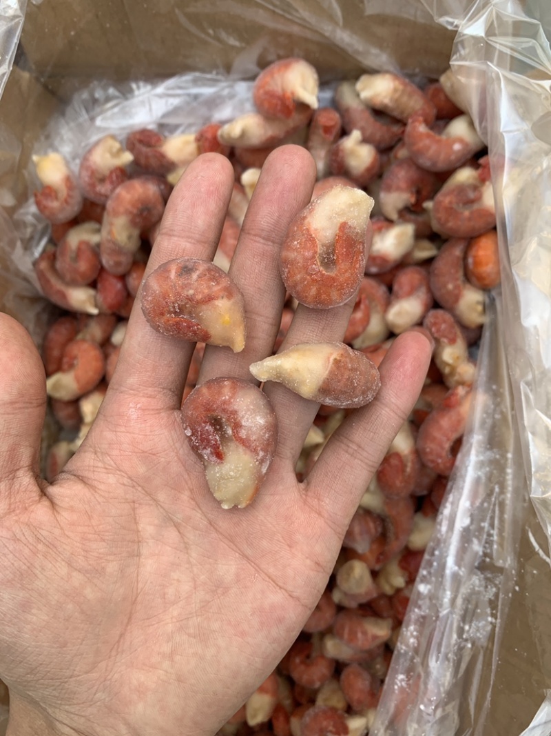 虾类龙虾尾，全规格！好货！好质量，好价格！🧨🧨
