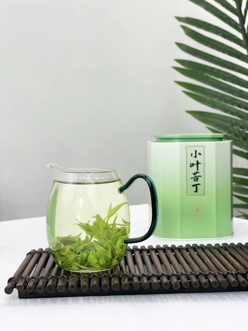 新茶小叶苦丁茶高山青山绿水500克