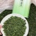 新茶小叶苦丁茶高山青山绿水500克