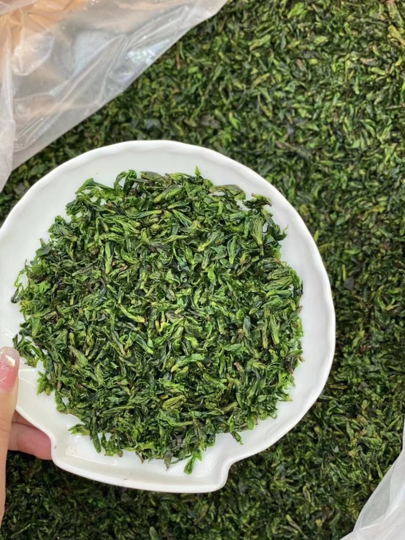 新茶小叶苦丁茶高山青山绿水500克