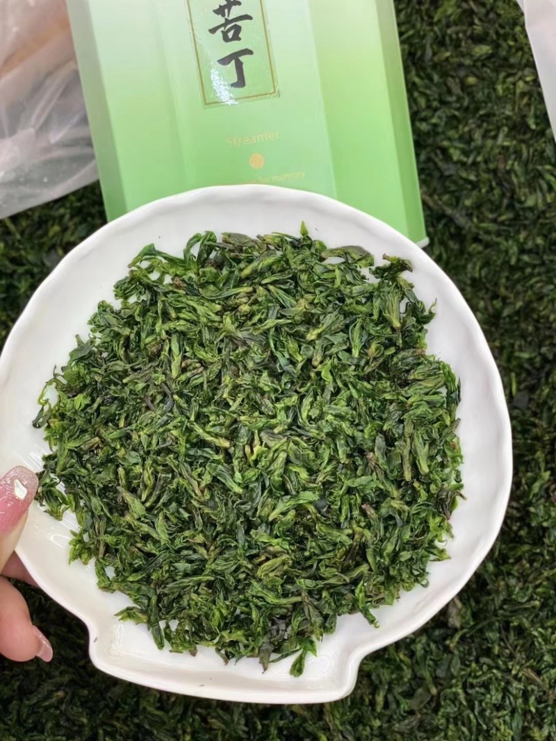 新茶小叶苦丁茶高山青山绿水500克