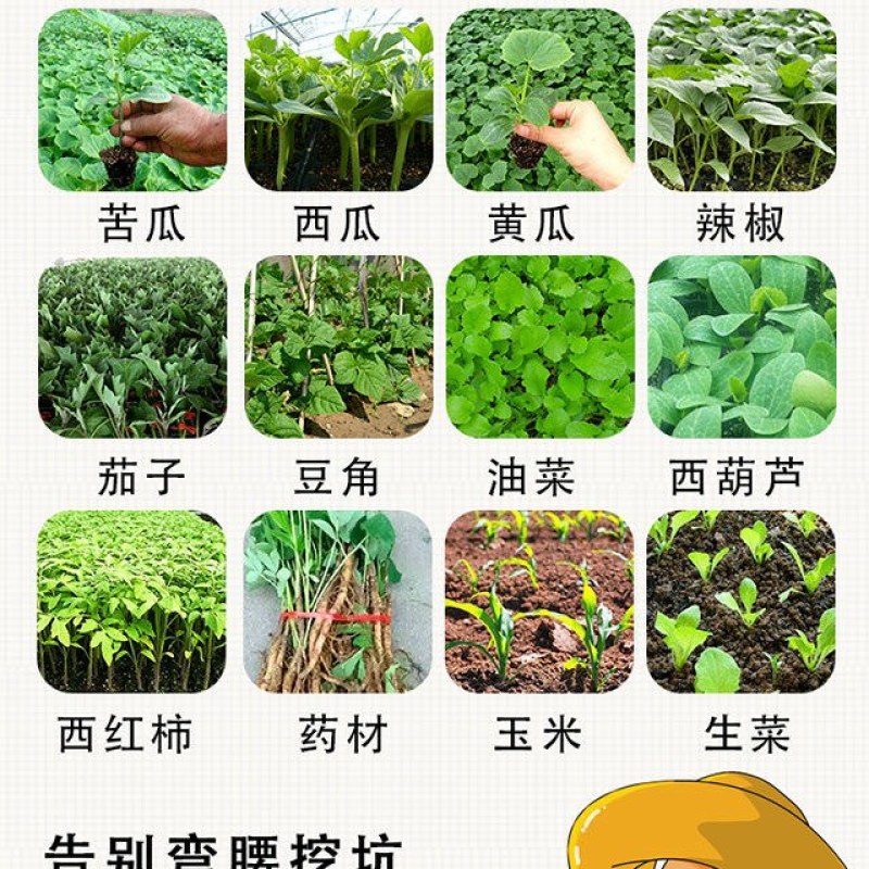 栽苗器种植器点播机施肥器种苗器播种器移栽移苗器插秧机种菜