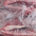 羊蝎子新鲜屠宰满肉羊蝎子可据块