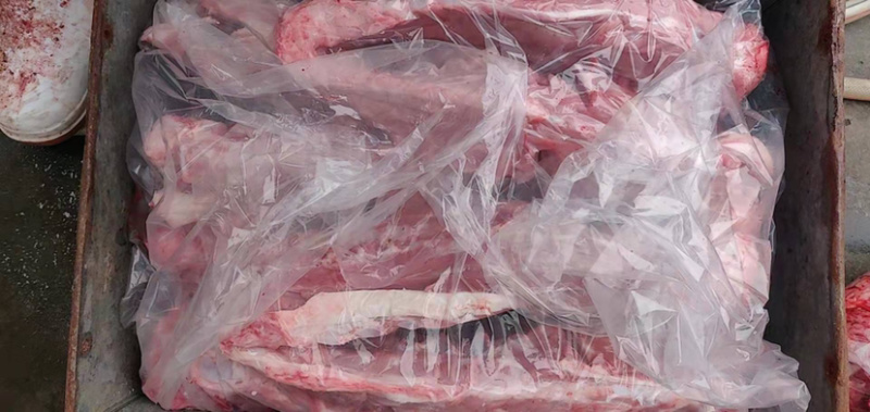 羊蝎子新鲜屠宰满肉羊蝎子可据块