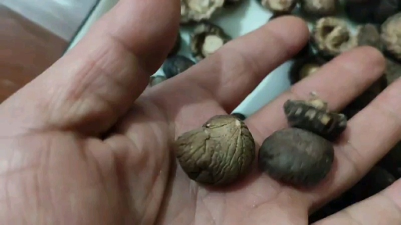 干香菇冬菇电商货质量优良量大优产地直发