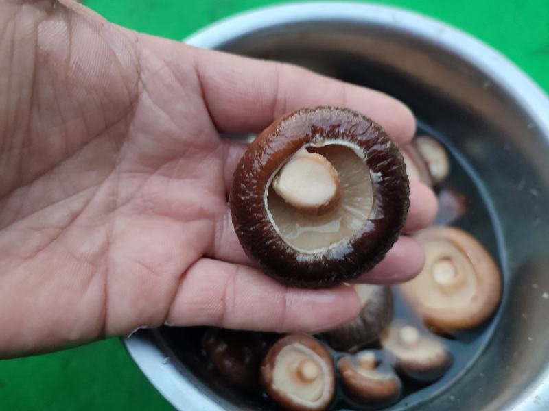 干香菇冬菇电商货质量优良量大优产地直发