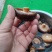 干香菇冬菇电商货质量优良量大优产地直发