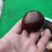 干香菇冬菇电商货质量优良量大优产地直发