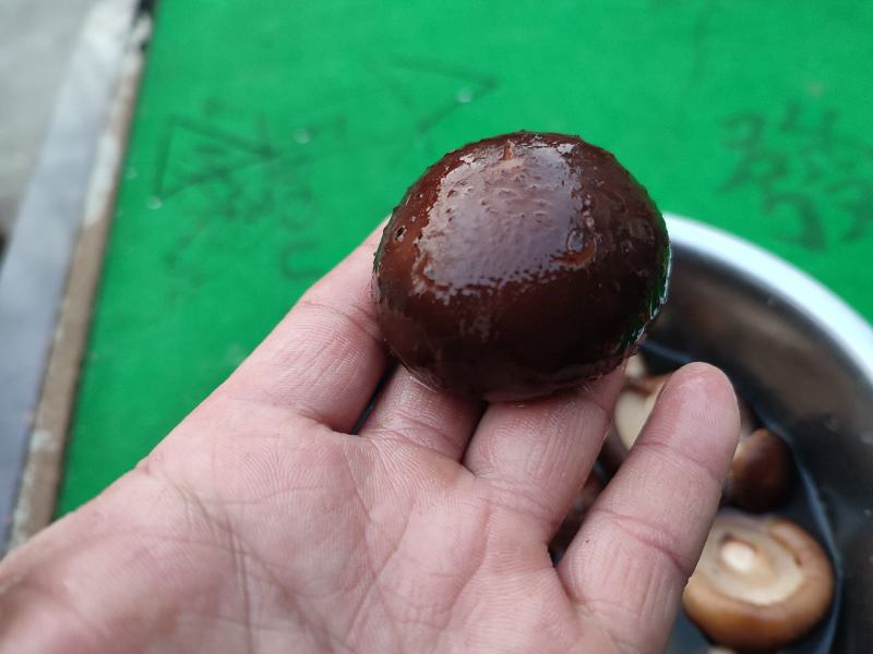 干香菇冬菇电商货质量优良量大优产地直发