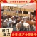 山东优质夏洛莱牛包回收提供免费技术买10送1送打草机
